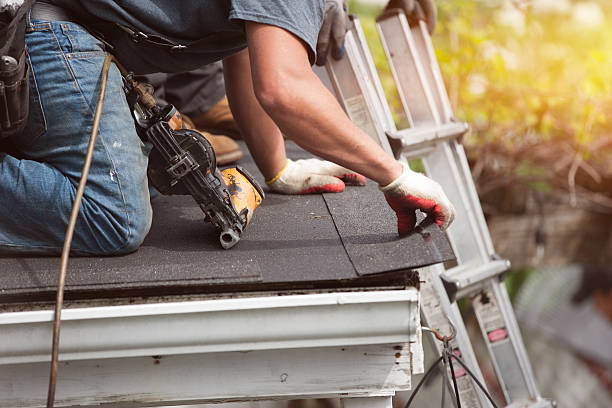 Best Flat Roof Repair Services  in Geneseo, IL